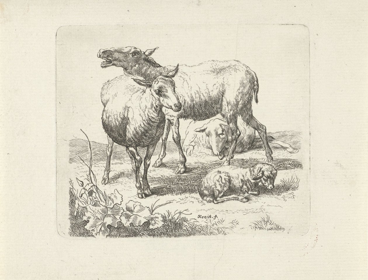 Tre pecore e un agnellino in un prato da Ernst Ludwig Creite