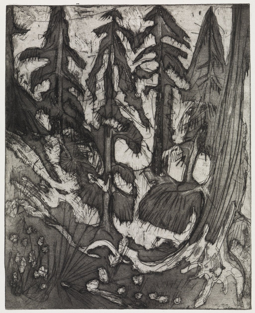 Foresta di montagna da Ernst Ludwig Kirchner
