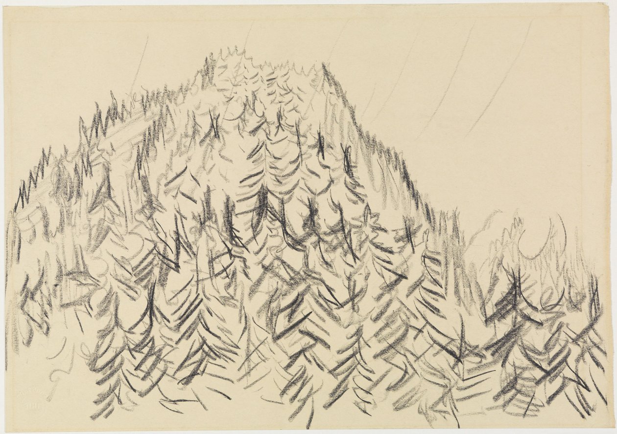 Collina boscosa da Ernst Ludwig Kirchner
