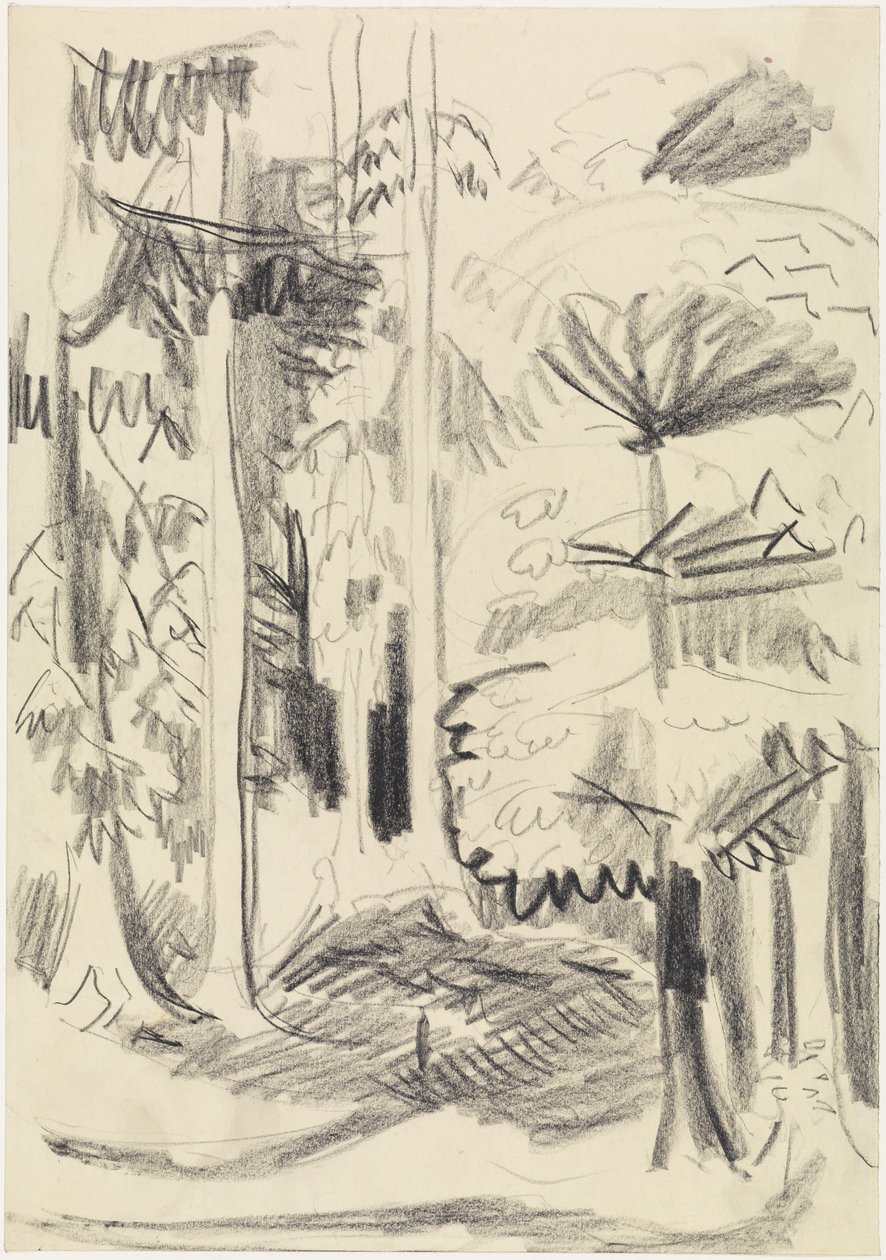 Bosco misto da Ernst Ludwig Kirchner
