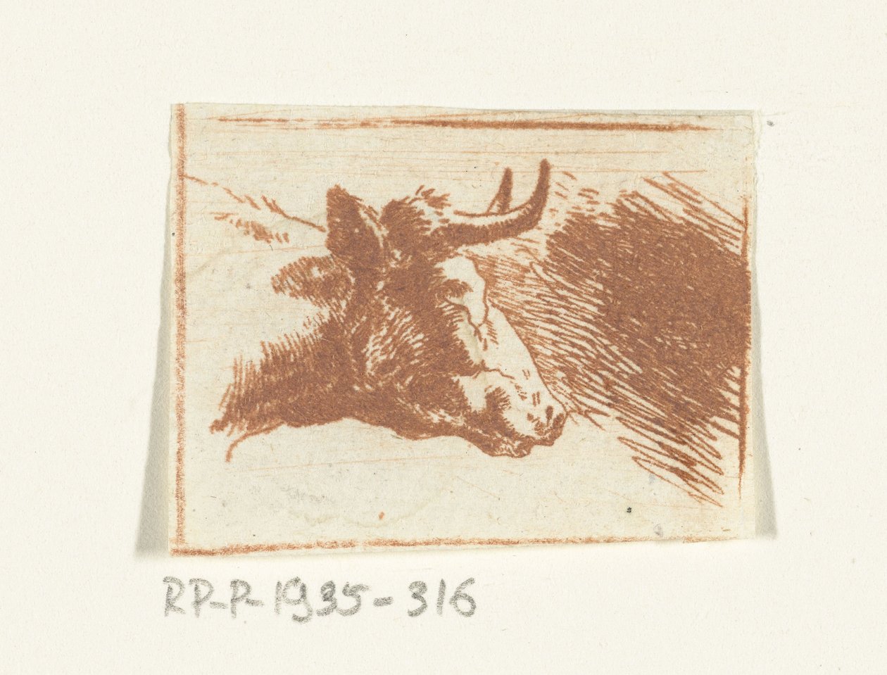 Testa di mucca a destra da Ernst Willem Jan Bagelaar