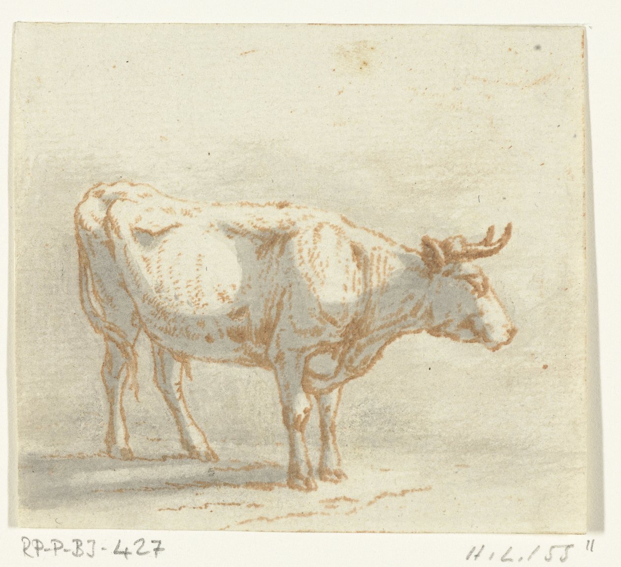 Toro in piedi, verso destra da Ernst Willem Jan Bagelaar