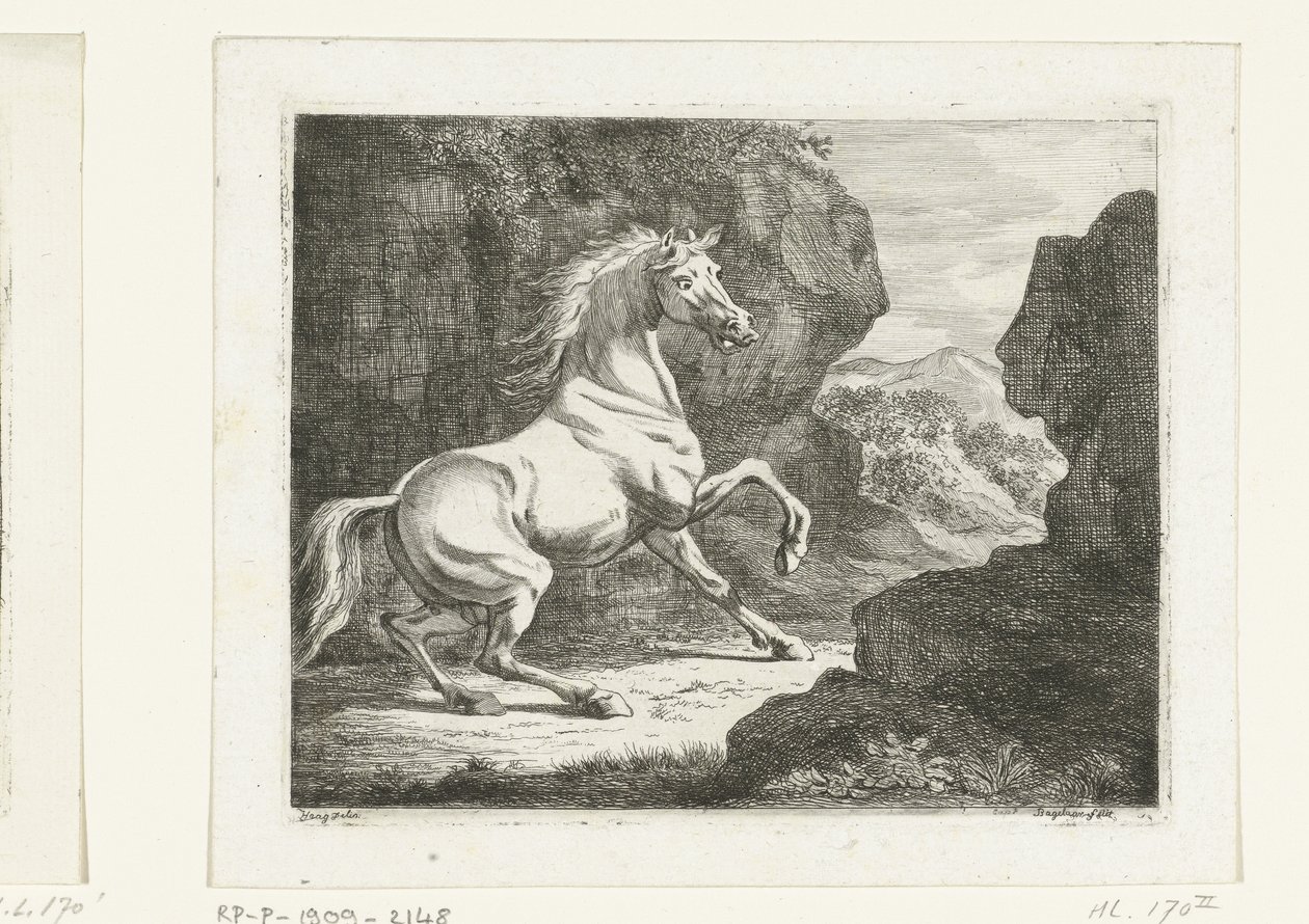 Cavallo bianco che salta da Ernst Willem Jan Bagelaar