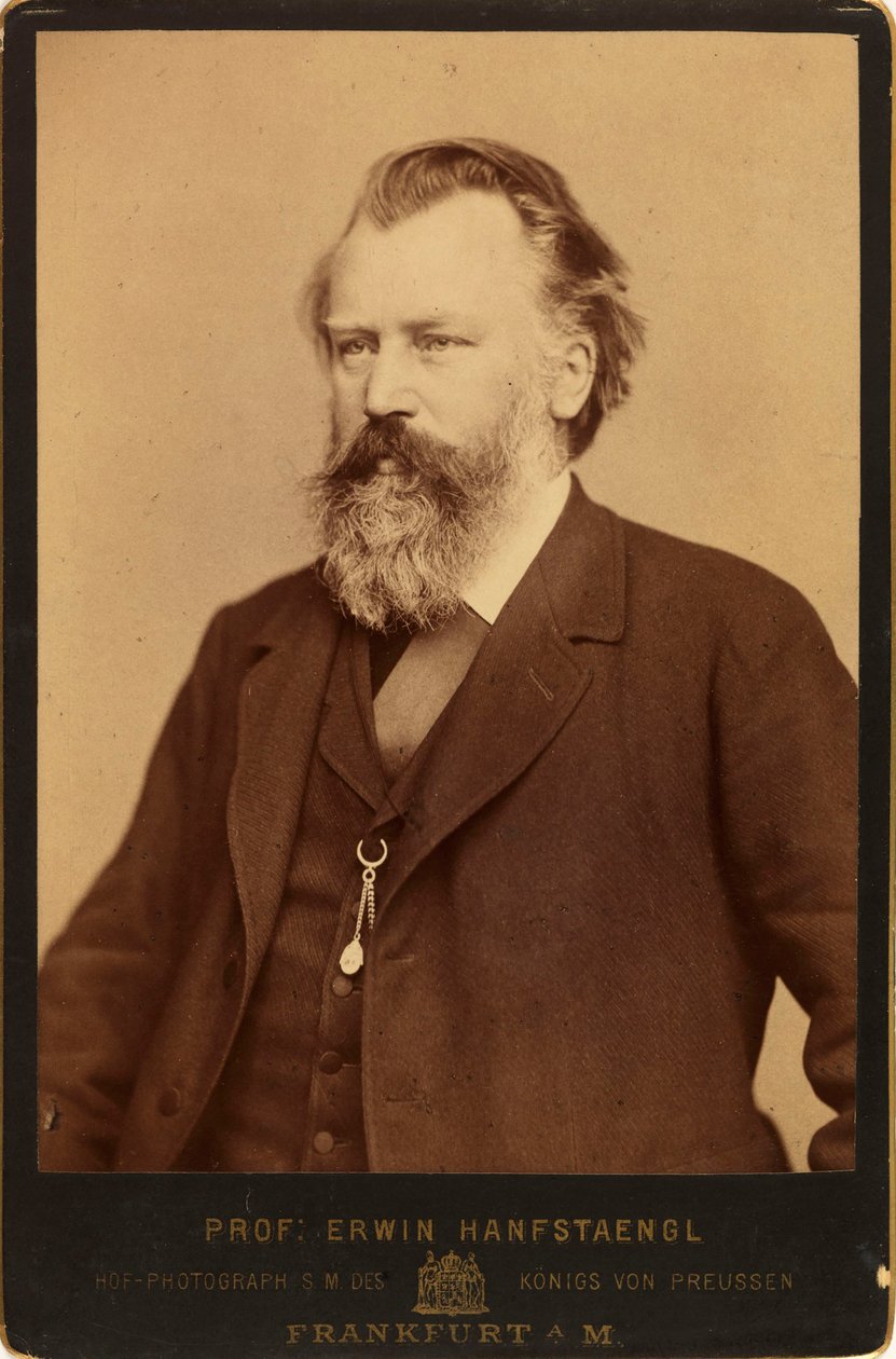 Ritratto del compositore Johannes Brahms 1833-1897, c. 1870 da Erwin Hanfstaengl