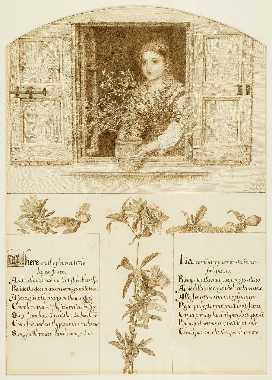 La finestra di Gelsomino, disegno per 