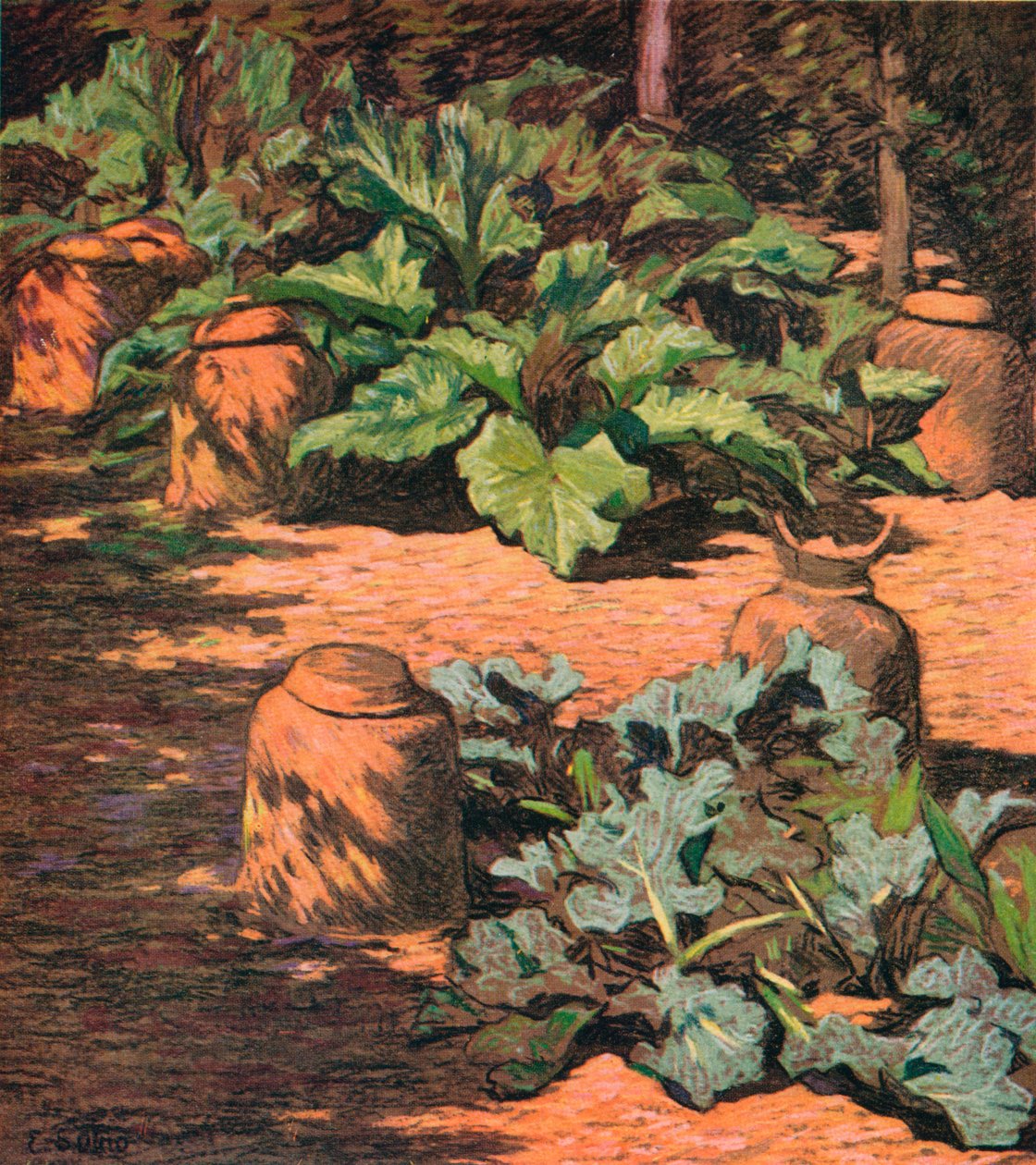Rabarbaro e cavolo marino, c. 1927 da Esther Sutro