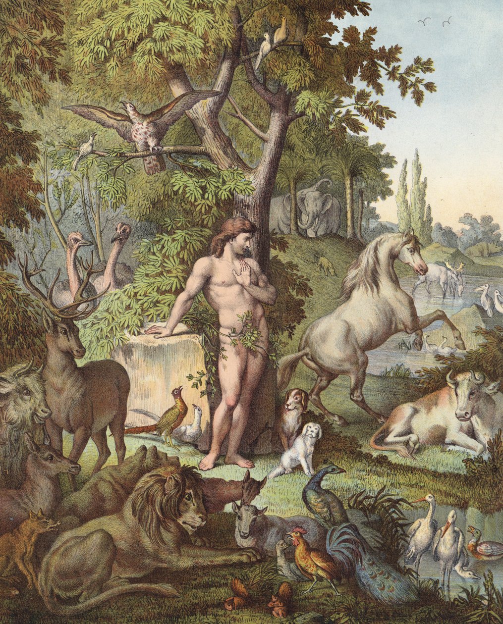 Adamo nel giardino dell