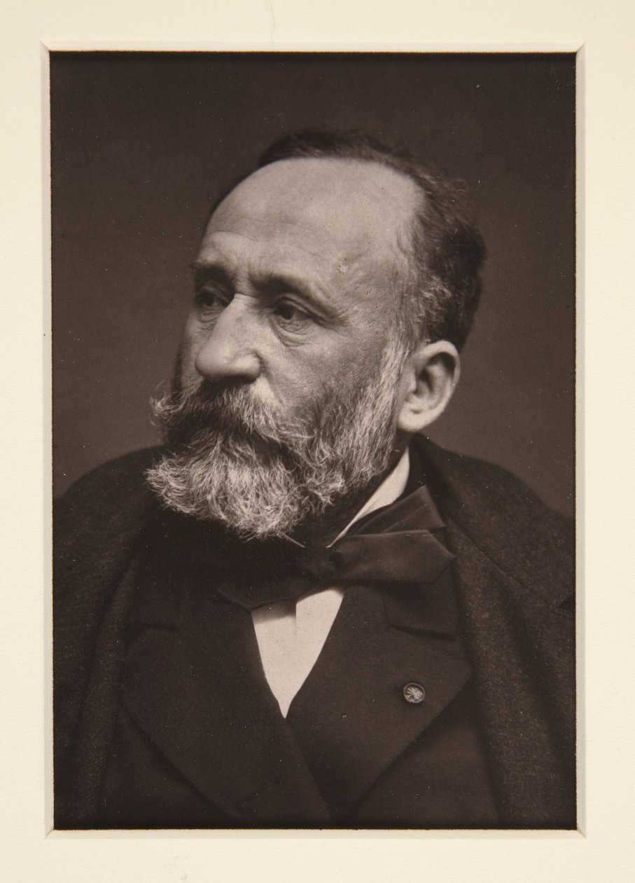 Ritratto di Pierre Puvis de Chavannes (1824-1898) da Etienne Carjat