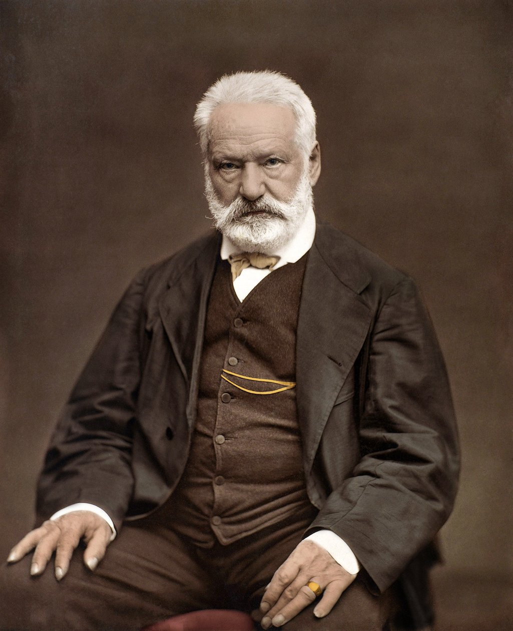 Ritratto di Victor Hugo (1802-1885), scrittore e poeta francese, colorazione su una fotografia di Etienne Carjat (1828-1906) da Etienne Carjat