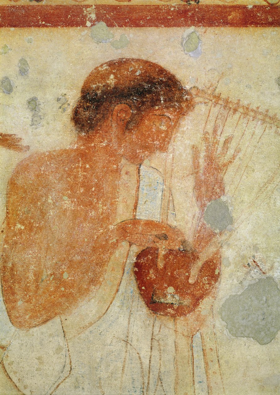 Musicista che suona la cetra o la lira, dalla Tomba del Triclinio, c.470 a.C. (dettaglio) da Etruscan