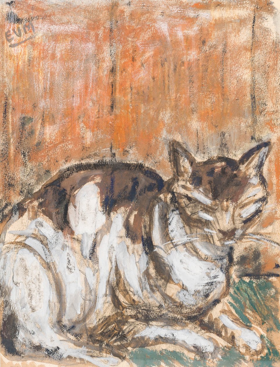 Katze da Eugeen van Mieghem
