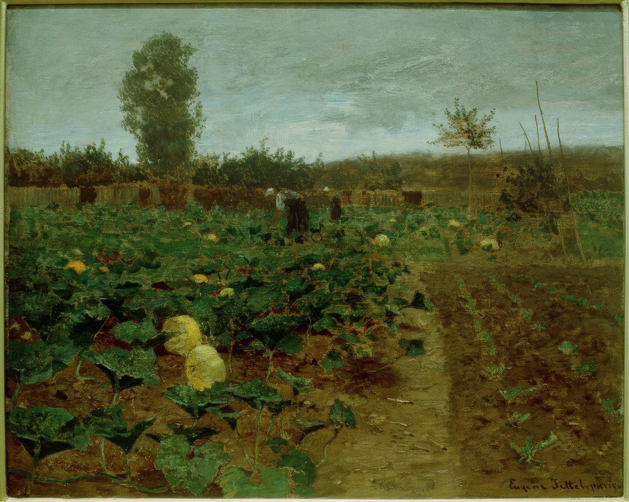 Campo di zucche da Eugen Jettel