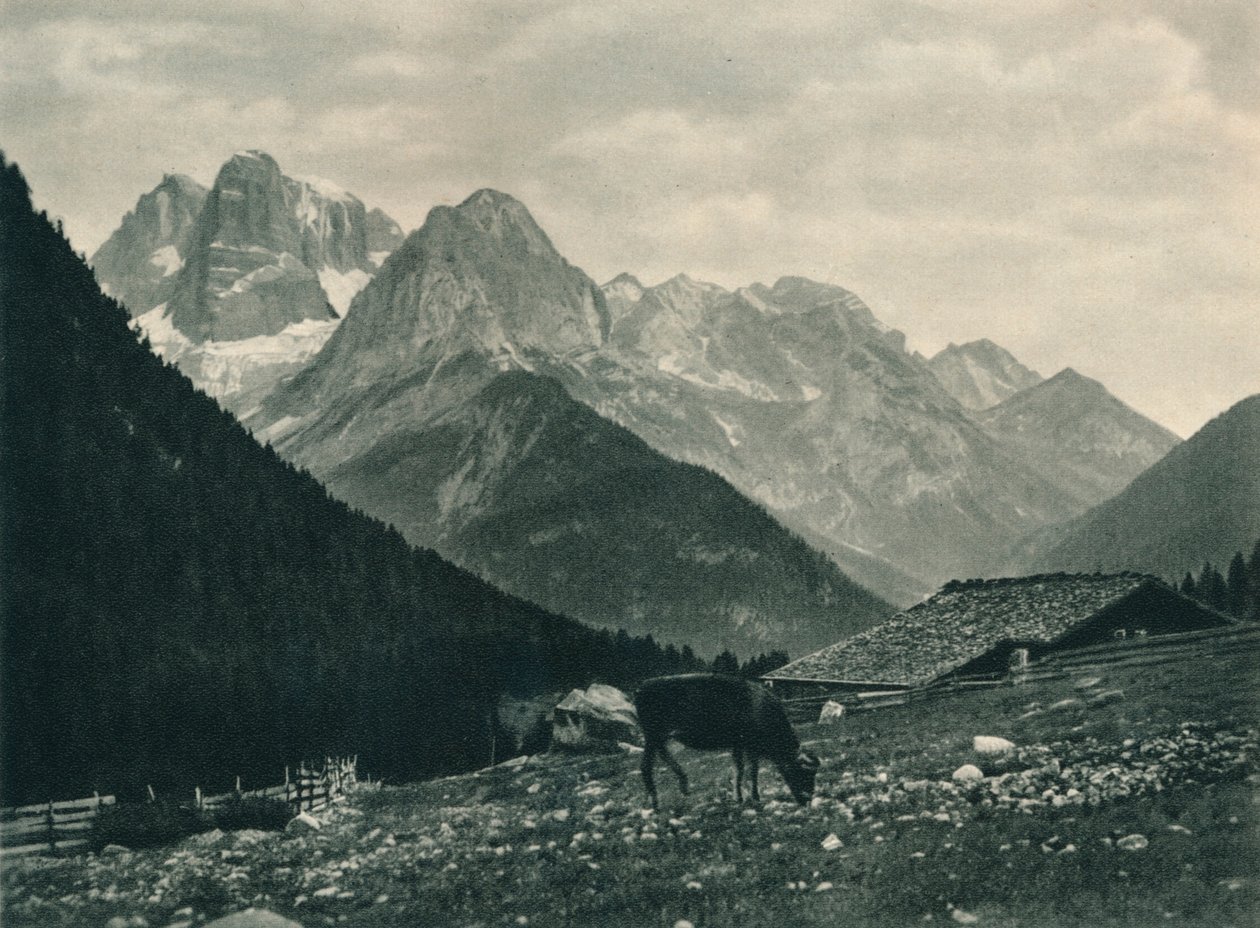 Vista del Gruppo di Brenta con pascolo alpino, Madonna di Campiglio, Dolomiti, Italia, 1927 da Eugen Poppel