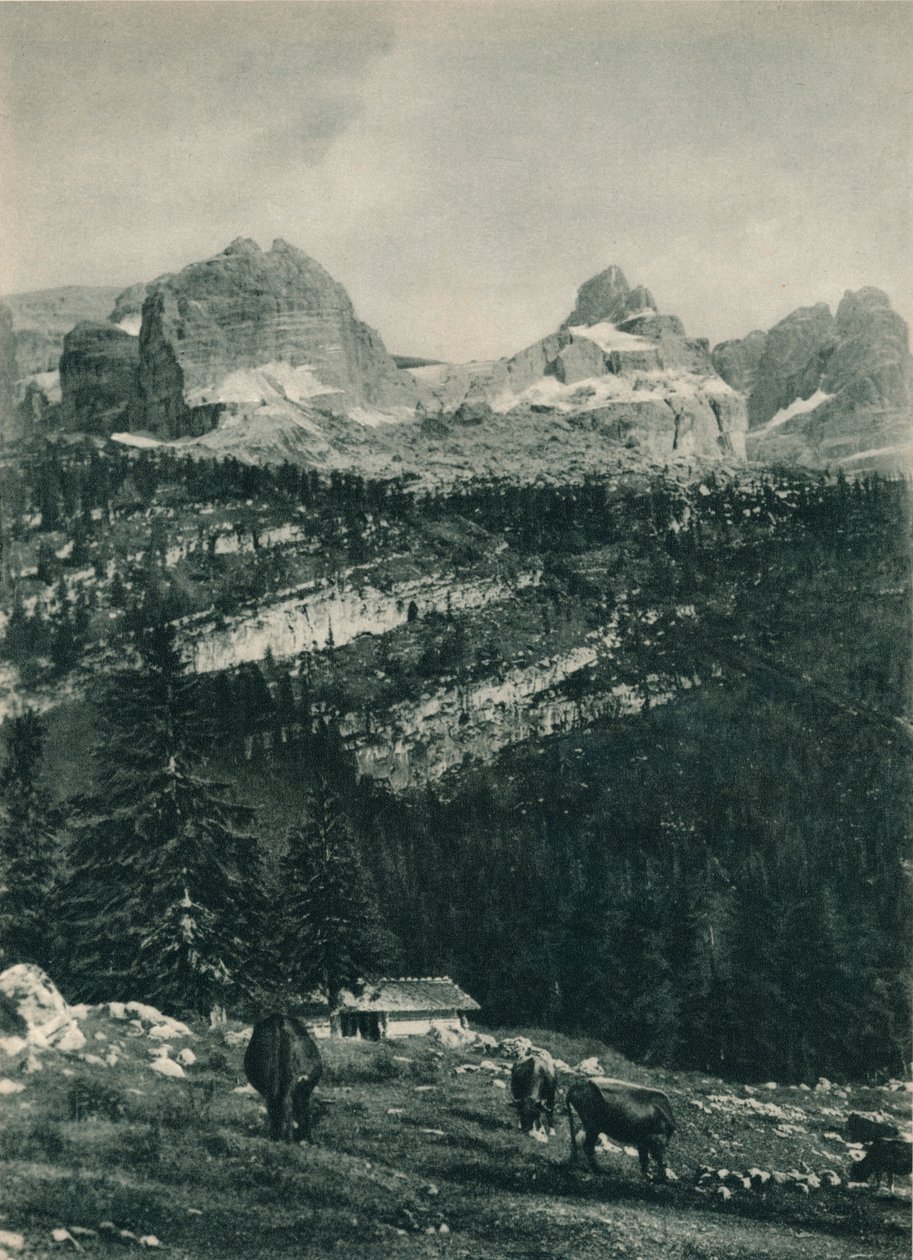 Vista del gruppo Brenta con pascolo alpino, Madonna di Campiglio, Dolomiti, Italia, 1927 da Eugen Poppel
