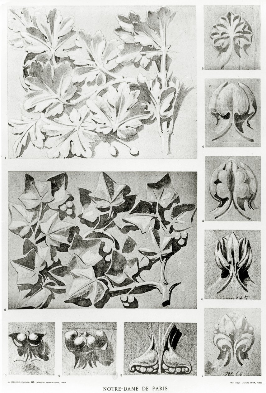Dettagli Architettonici per il Restauro di Notre Dame da Eugene Emmanuel Viollet le Duc