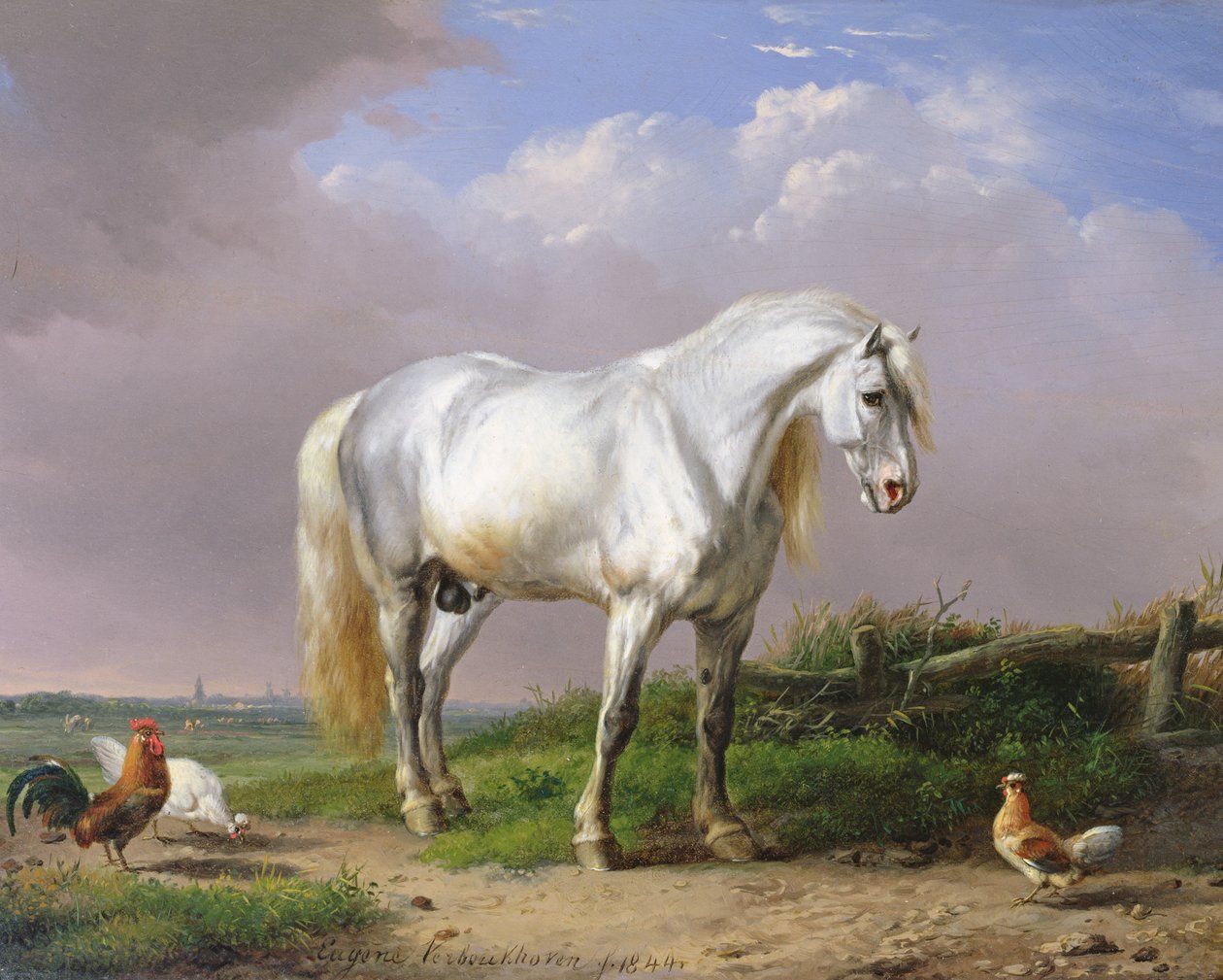 Stallone grigio da Eugene Joseph Verboeckhoven