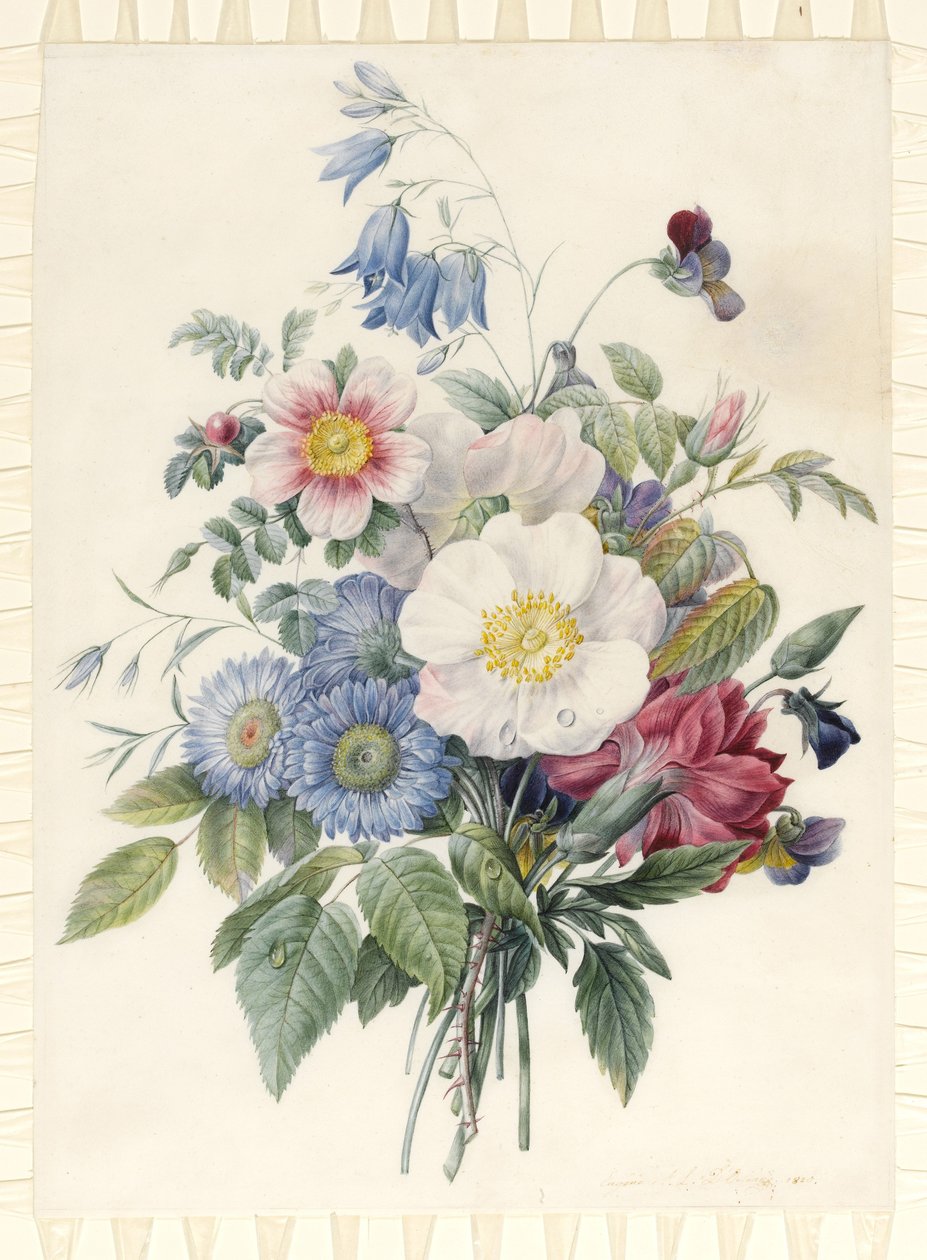 Astri Blu, Rosa Spinosissima Ibrida, Campanula, Viole, Garofano e una Rosa Selvatica, 1820 da Eugene A. L. d Orleans
