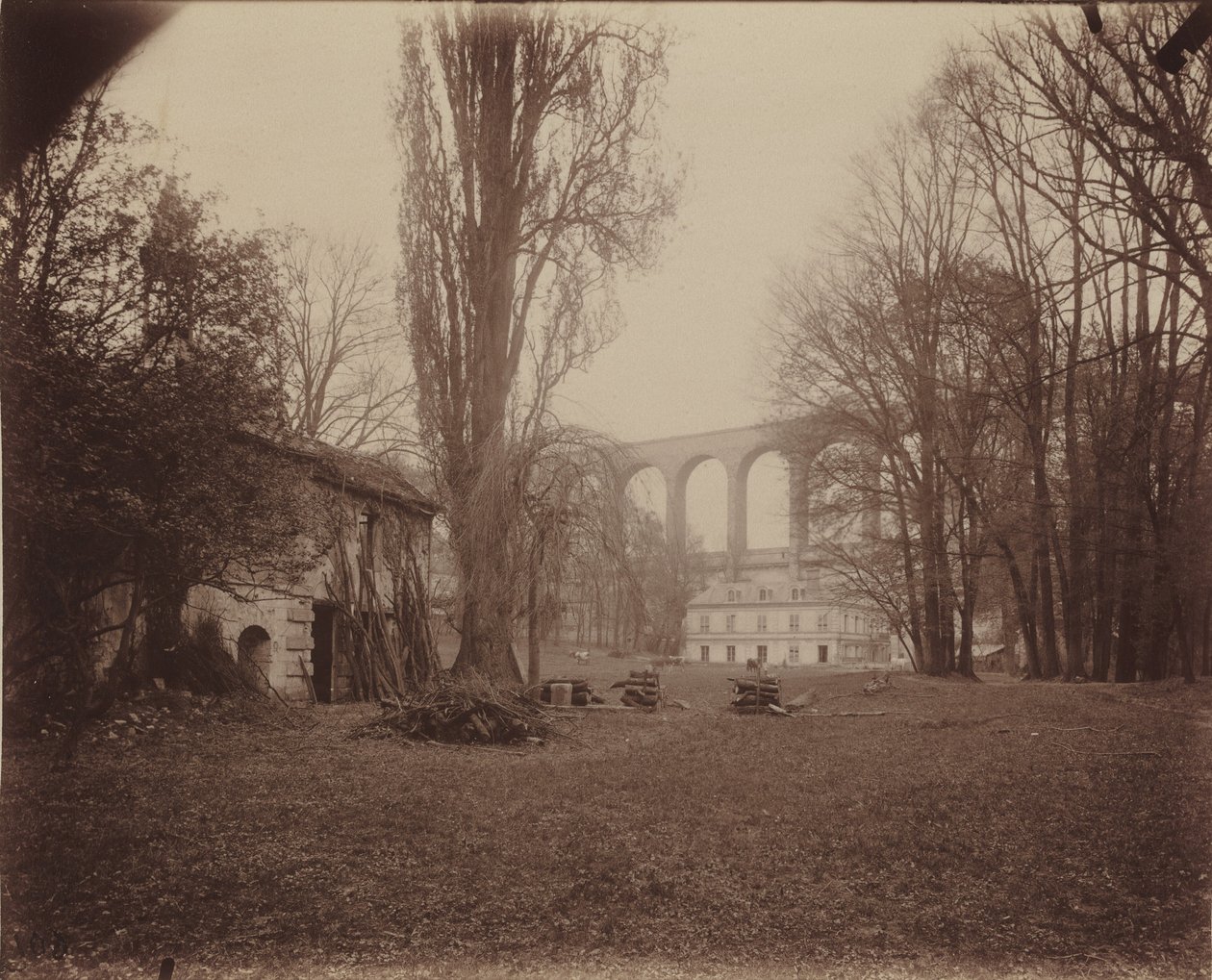 Arcueil-Cachan, parco di Madame de Provigny da Eugène Atget