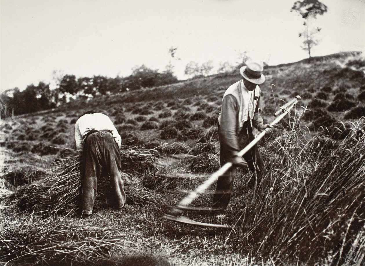 Faucheurs, Somme da Eugène Atget