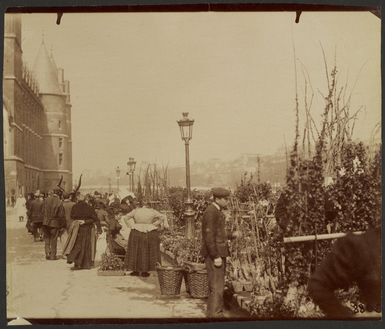 [Il mercato dei fiori] da Eugène Atget