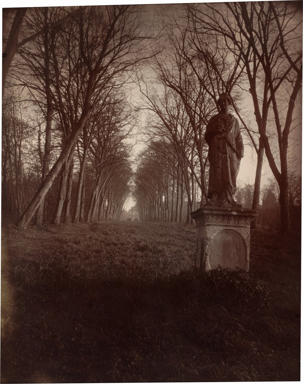 Parco di Sceaux, 1925 (foto) da Eugène Atget