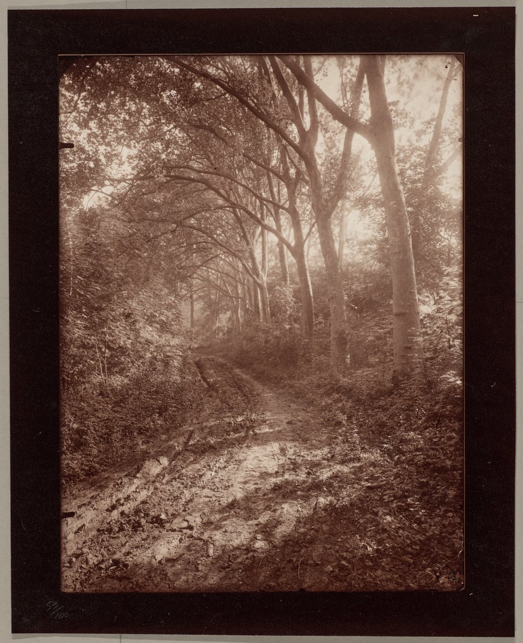 Parco di Sceaux da Eugène Atget