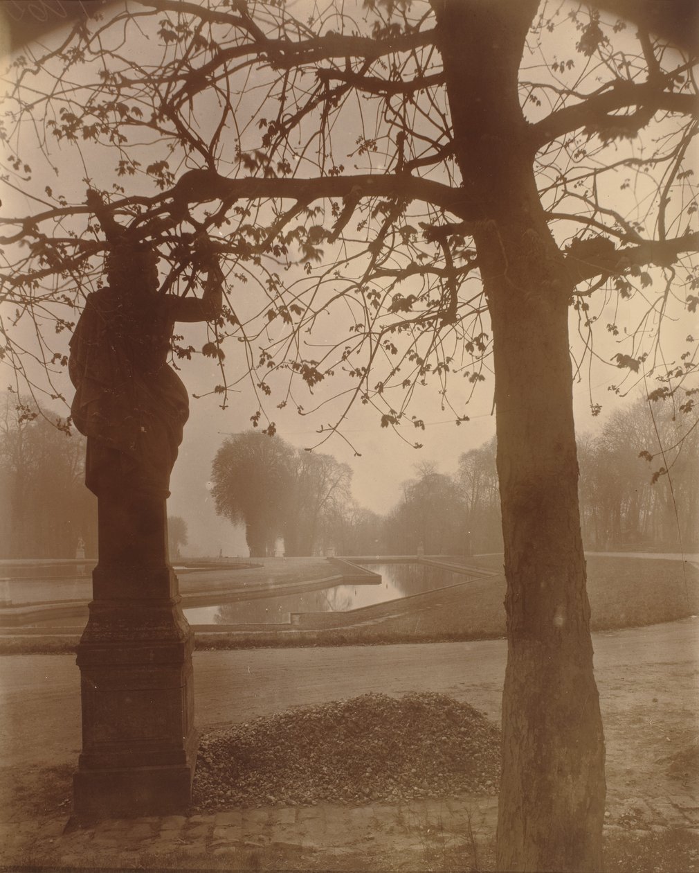 Saint-Cloud da Eugène Atget