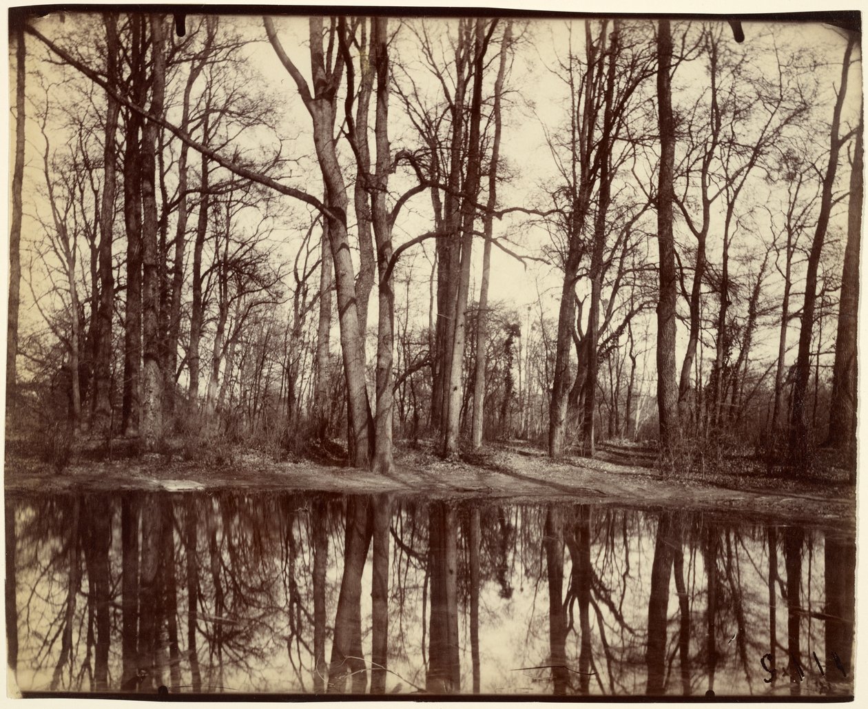 Saint-Cloud da Eugène Atget