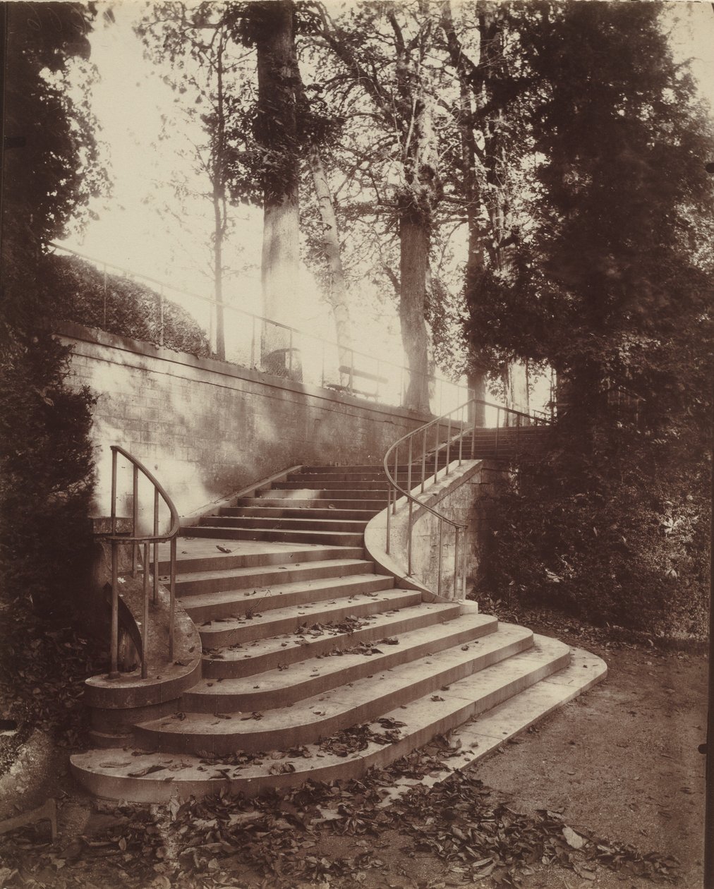 La scalinata di Saint-Cloud, 1906 (foto) da Eugène Atget