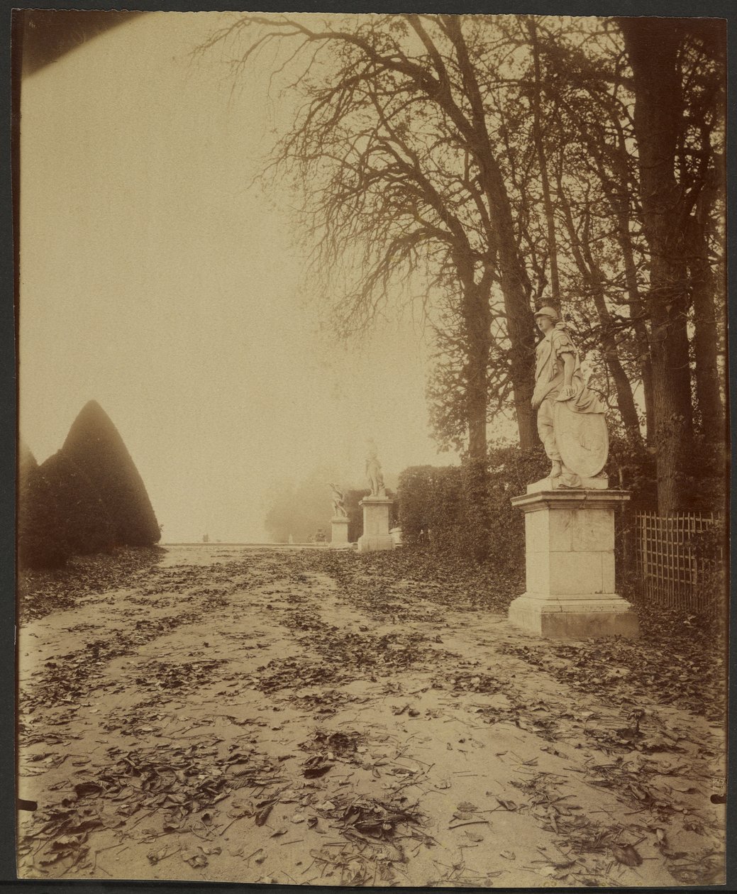 Versailles, il parco (viale nel parco di Versailles) da Eugène Atget
