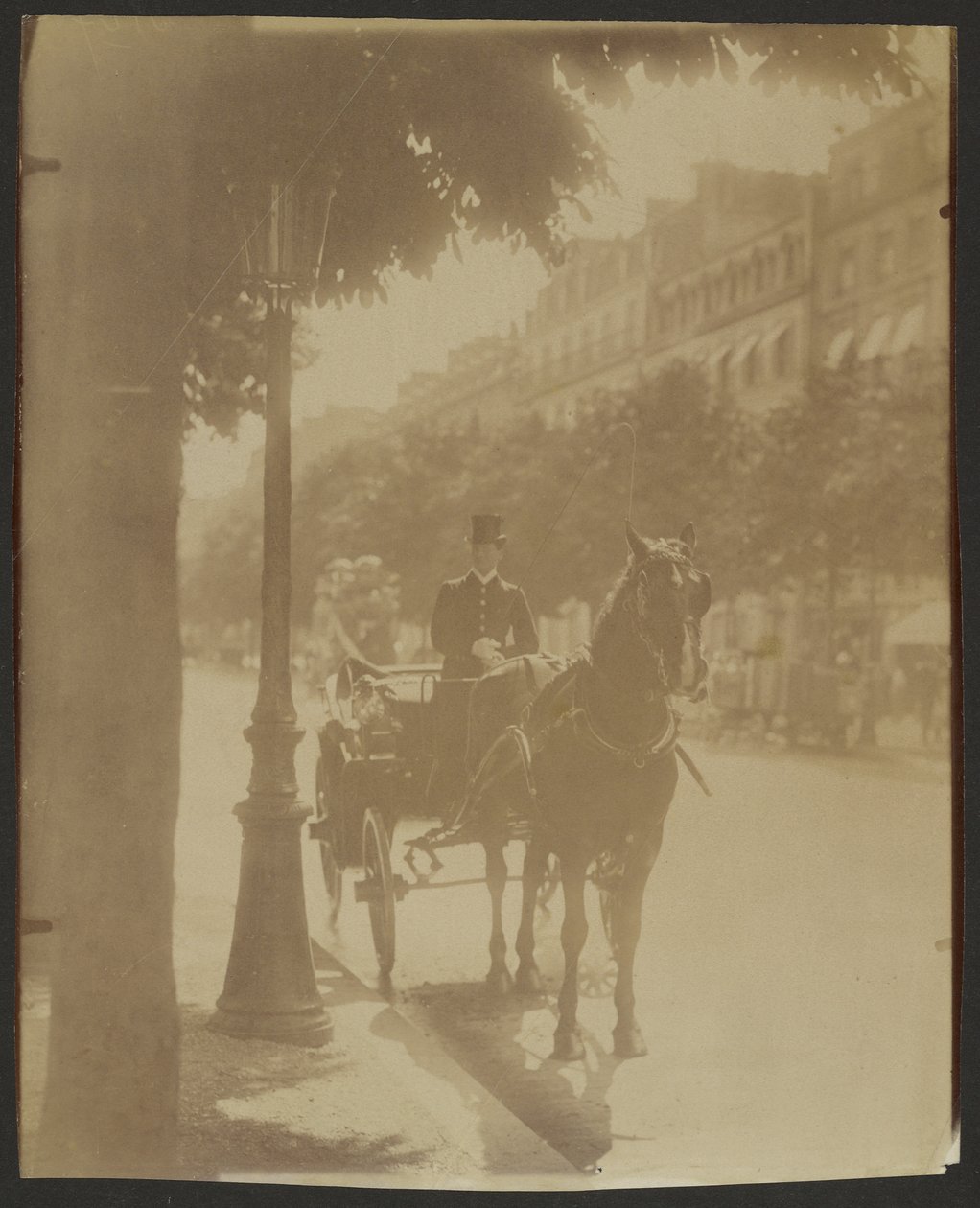 [Carrozza d