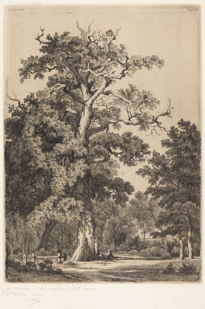 Antica quercia nel Bois de Boulogne da Eugene Bléry