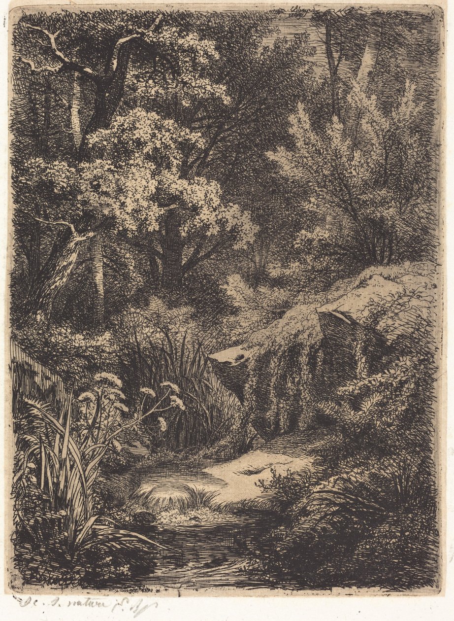 Il piccolo ruscello da Eugene Bléry