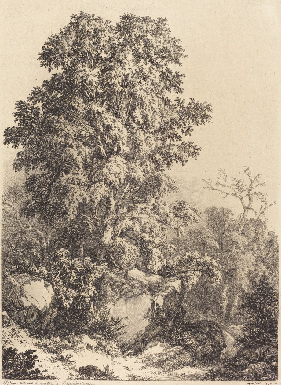 Boschetto di faggi, 1840 da Eugene Bléry