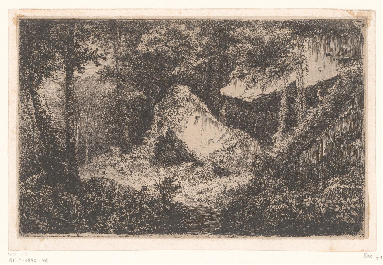 Rocce coperte di vegetazione in una foresta da Eugene Bléry