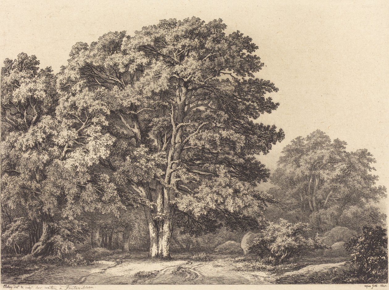 Ingresso a una foresta, 1840 da Eugene Bléry