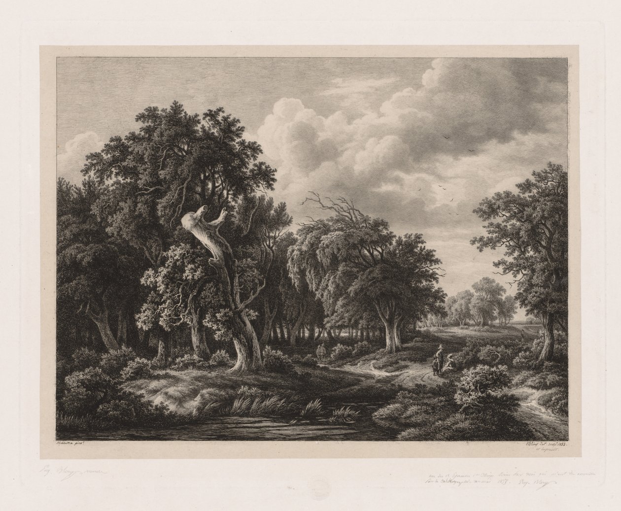 Gruppi di varie piante disegnate dalla natura: No. 7, 1855 da Eugene Bléry