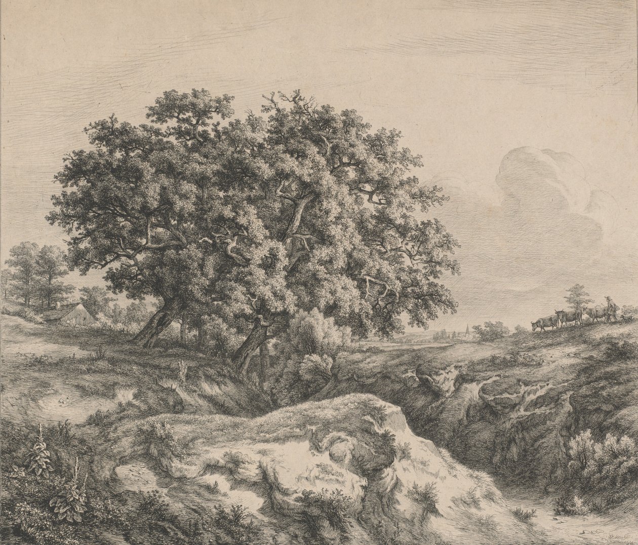 La quercia al burrone, 1845 da Eugene Bléry