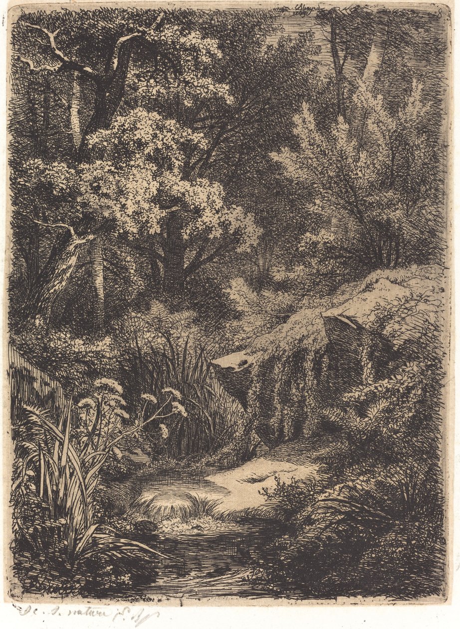 Le petit ruisseau da Eugene Bléry