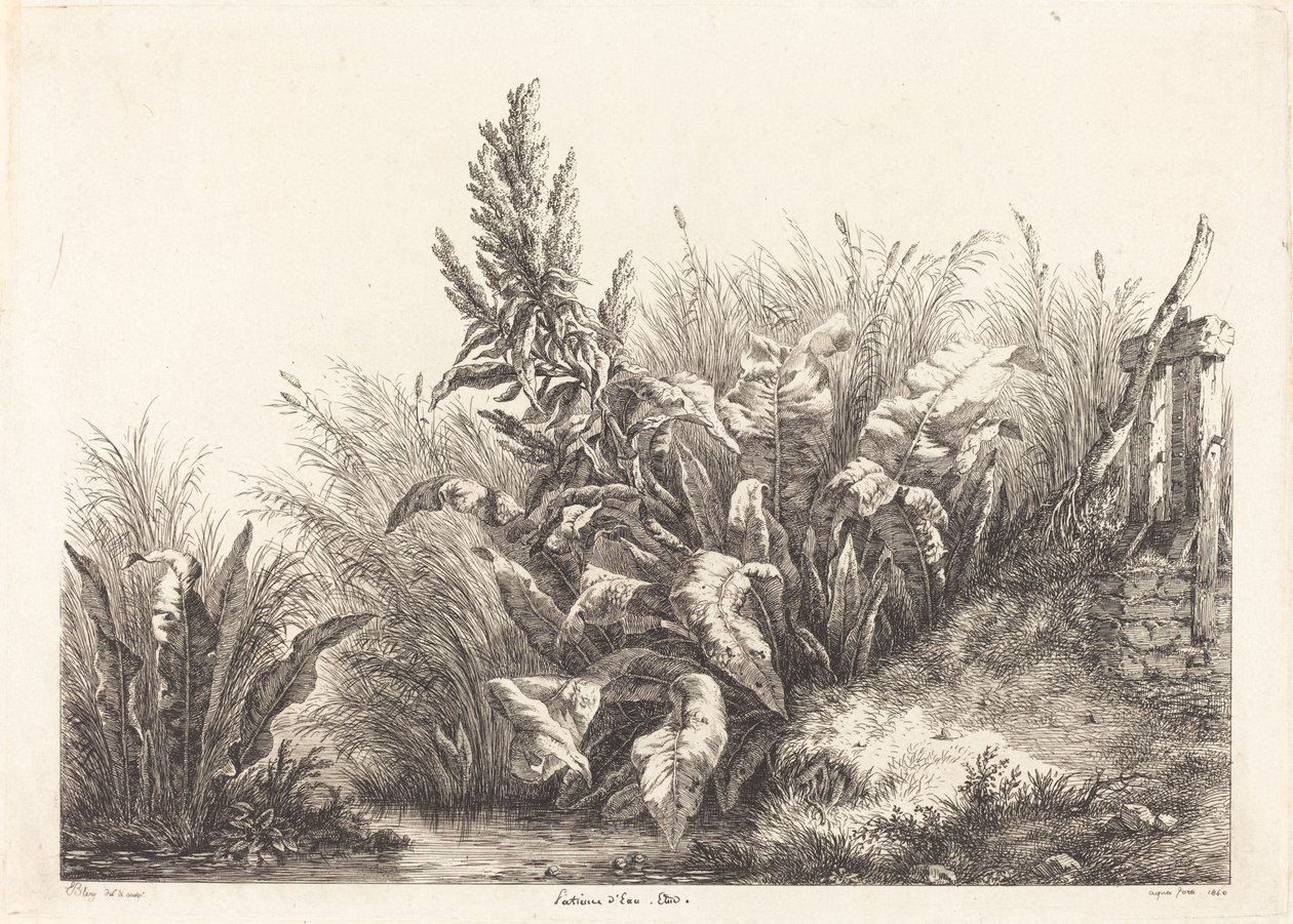 Pazienza d