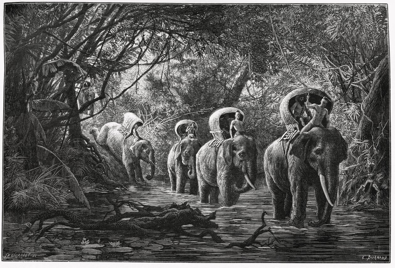 In viaggio nella foresta, la spedizione viaggia sul dorso di un elefante. Incisione di Eugene Burnand, per illustrare la storia "Viaggio nell