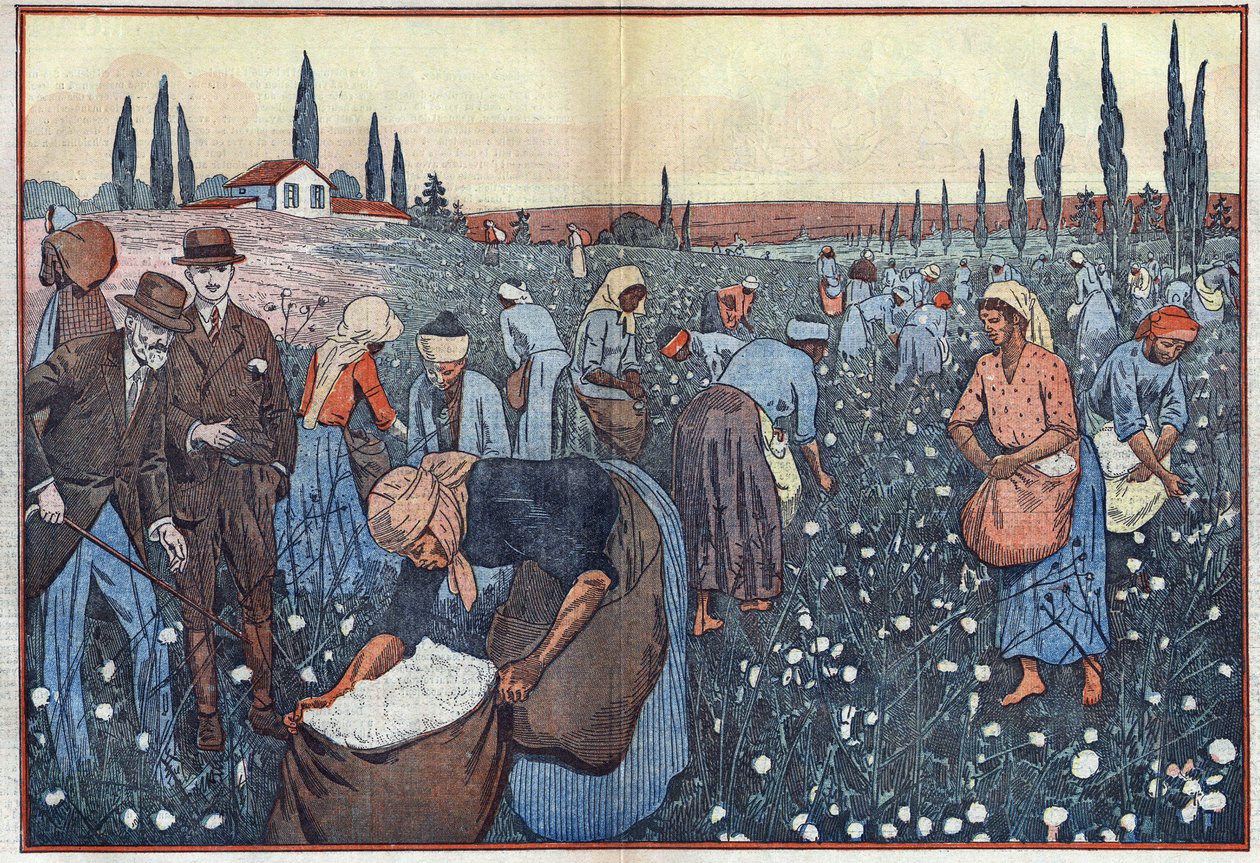 La raccolta del cotone, vicino a Orleanville, nella valle dello Chelif, Algeria. Illustrazione di Damblans. In "Le Pelerin" del 23 febbraio da Eugene Damblans