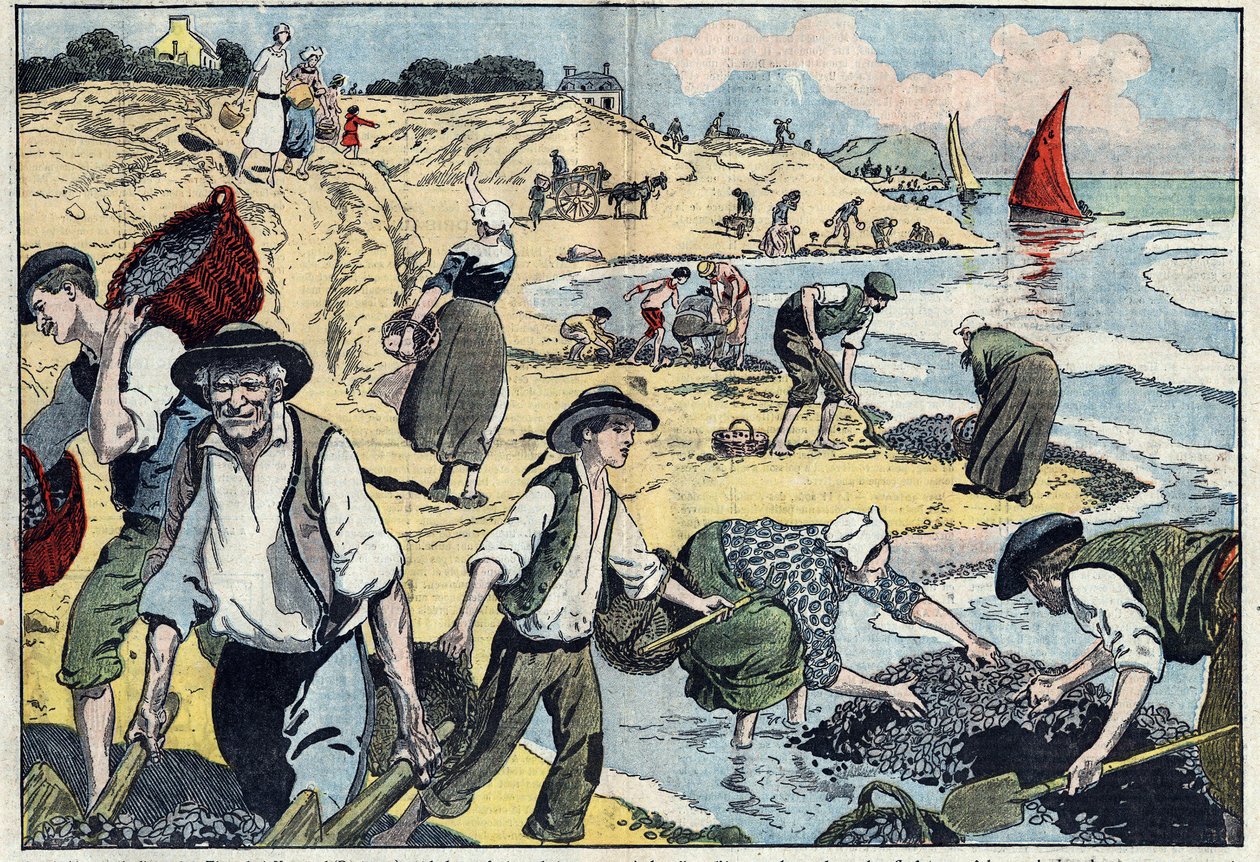 Gli abitanti della costa di Thouais raccolgono cozze. Kernevel, Finistère (29), Bretagna. Illustrazione di Damblans. In "Le Pèlerin" del 31 agosto da Eugene Damblans