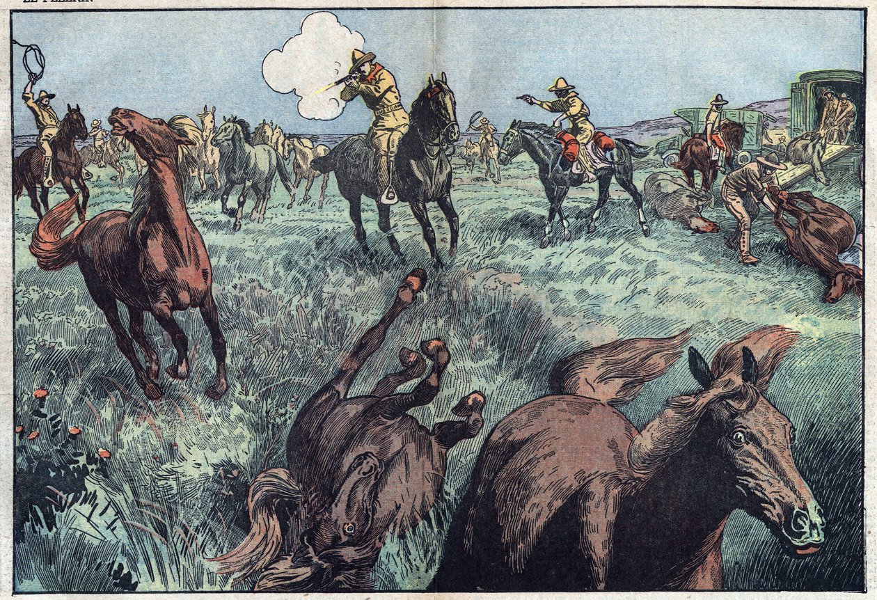 I cavalli selvaggi vengono abbattuti negli Stati Uniti. Illustrazione di Damblans. In "Le Pelerin" del 31 gennaio. da Eugene Damblans