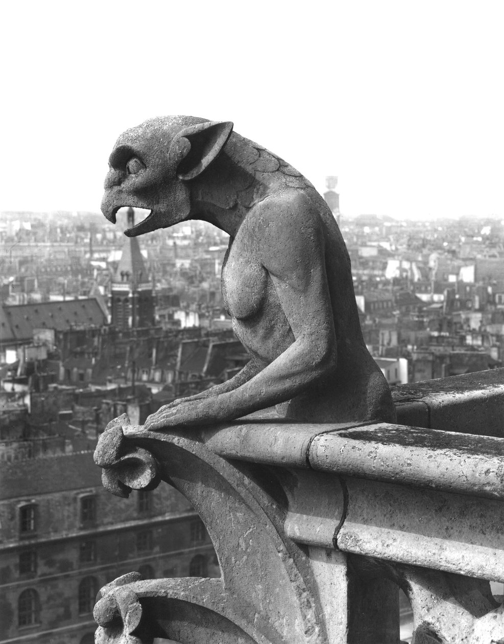 Gargoyle dalla balaustra della Grande Galerie della facciata ovest, replica di un originale del XII secolo da Eugene Emmanuel Viollet le Duc