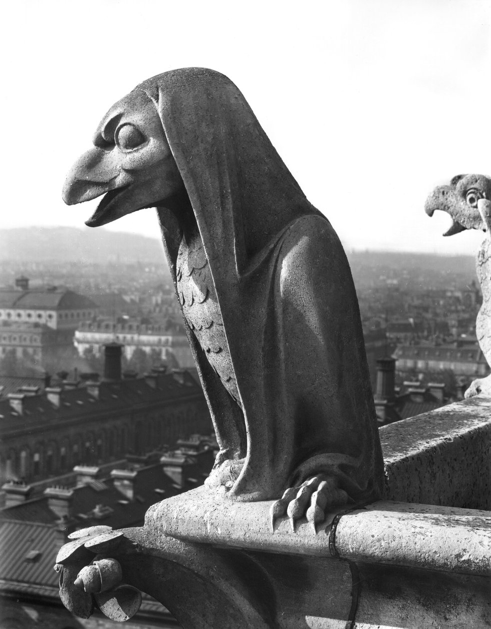 Gargoyle dalla balaustra della Grande Galerie, replica di un originale del XII secolo da Eugene Emmanuel Viollet le Duc