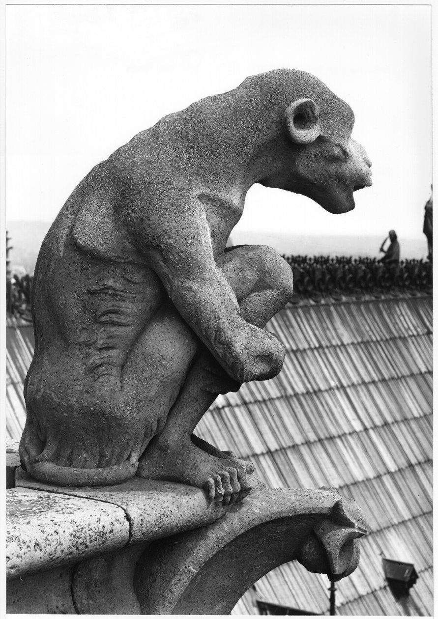Gargoyle scimmia dalla balaustra della Grande Galerie della facciata ovest, replica di un originale del XII secolo da Eugene Emmanuel Viollet le Duc