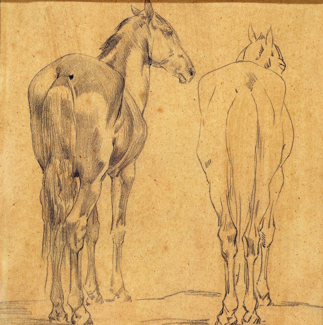 Studie von zwei Pferden da Eugène Fromentin