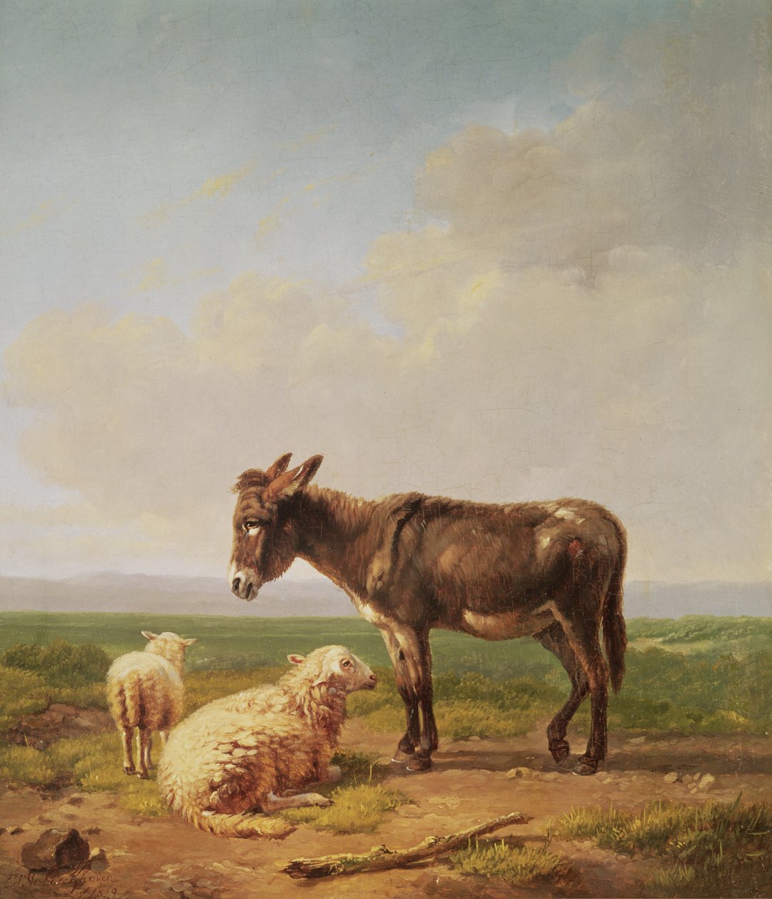 Asino e pecora, 1849 da Eugene Joseph Verboeckhoven