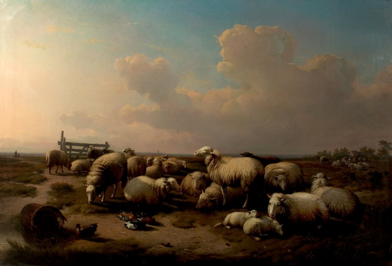 Le Pecore da Eugene Joseph Verboeckhoven